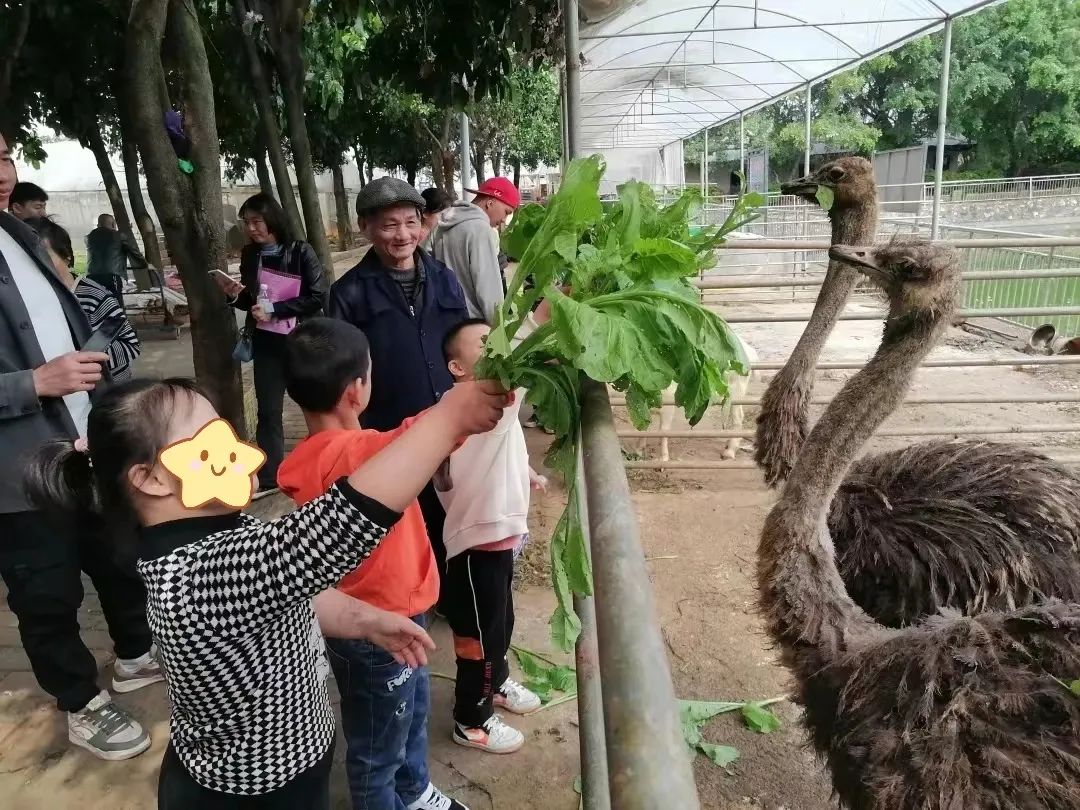 ""